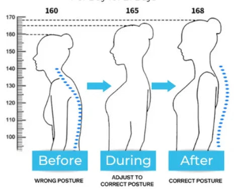 FitVibe Adjustable Posture Corrector Belt [with Free E-Book For Maintain Right Posture]