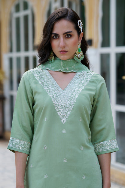 Meera Women Kurta and Pant Sets Silk Blend Fabric - FitVibe Fashion