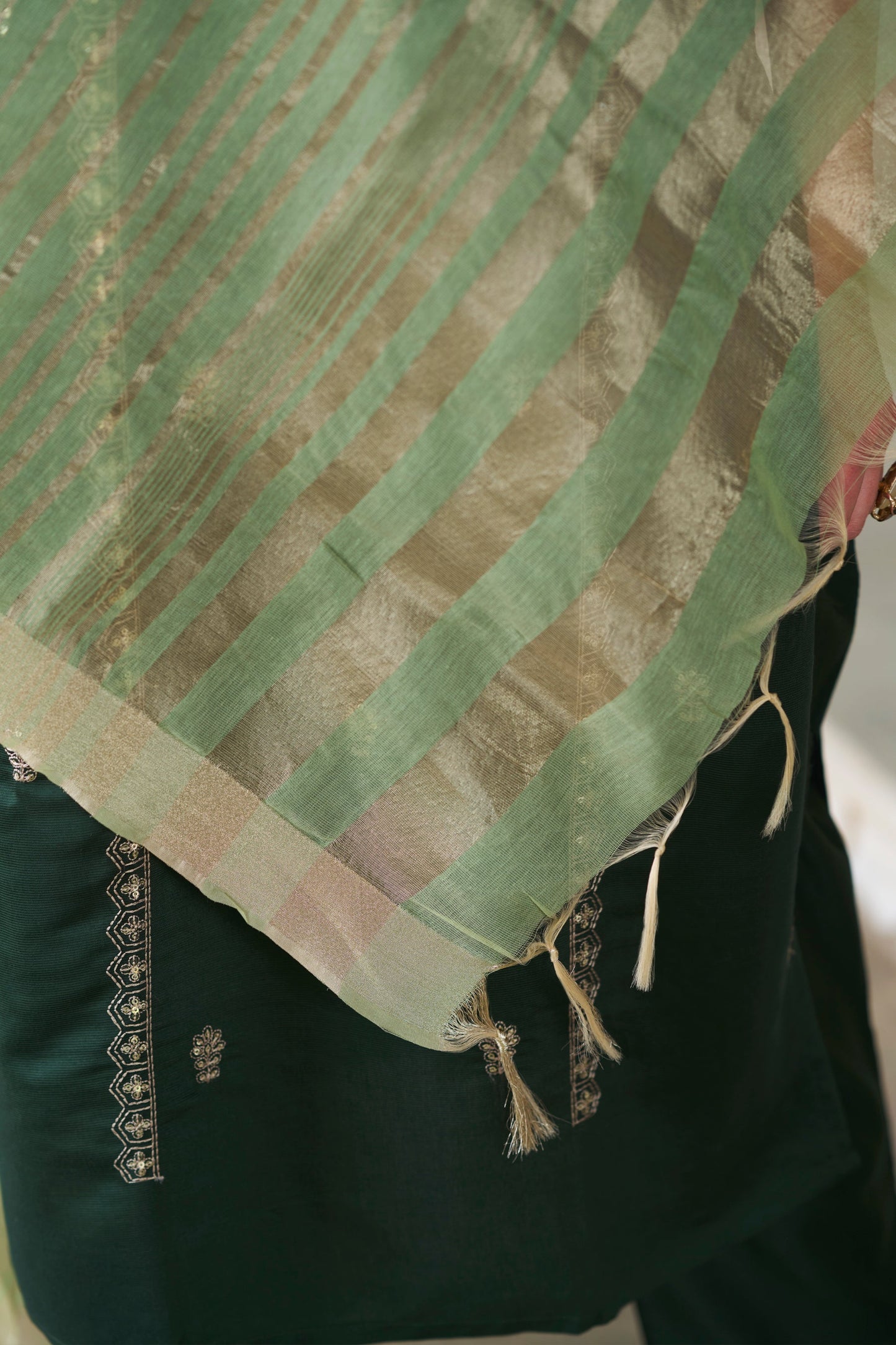 Raagini Women Kurta and Pant Sest Viscose Rayon - FitVibe Fashion