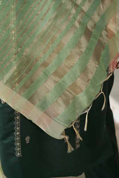 Raagini Women Kurta and Pant Sest Viscose Rayon - FitVibe Fashion