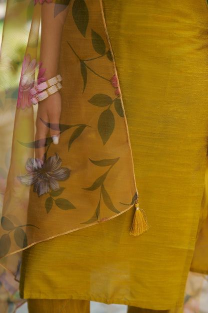 Astitva Women Kurta and Pant Sets Cotton Silk Fabric - FitVibe Fashion